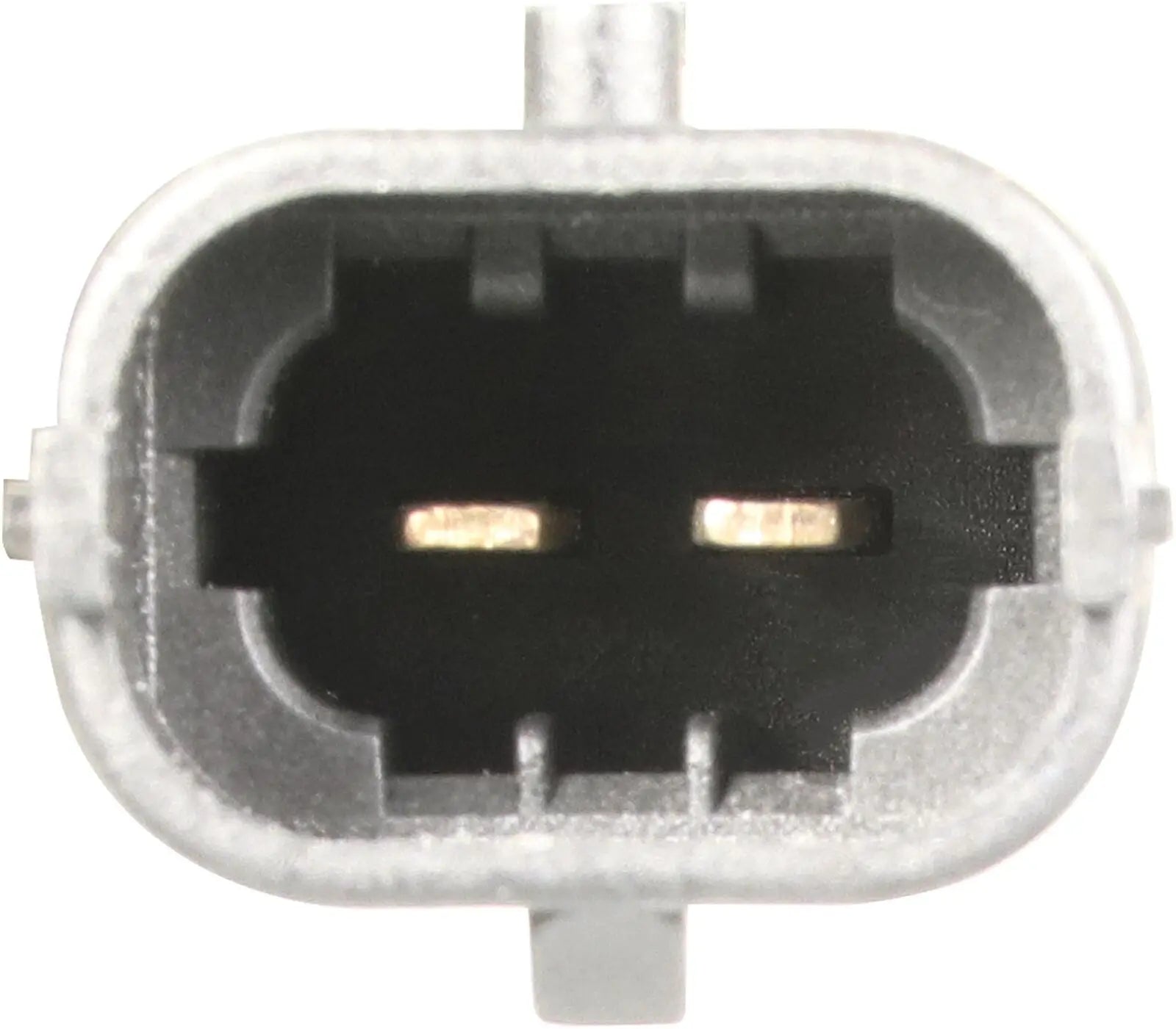 Water Pump 2104577 1949539 2104578 1949540 DAF CF XF