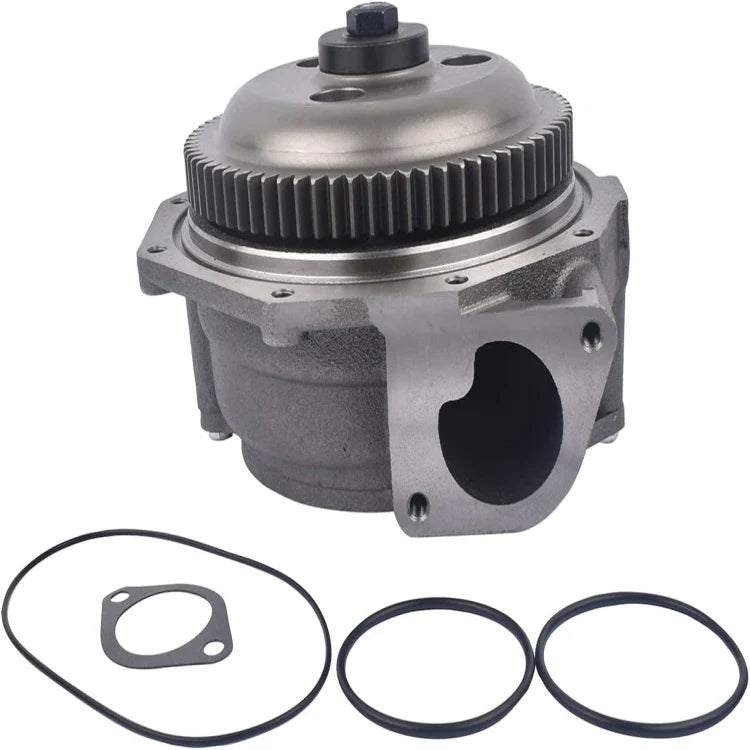Cylinder Head & Gaskets