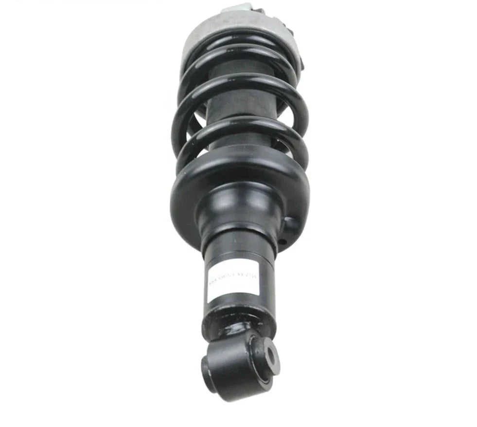Air Suspension Shock Absorber 420512019AL; Audi R8 2007–2015